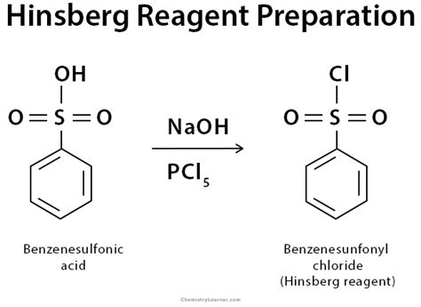 benzene sulphonyl chloride test|what is hinsberg reagent.